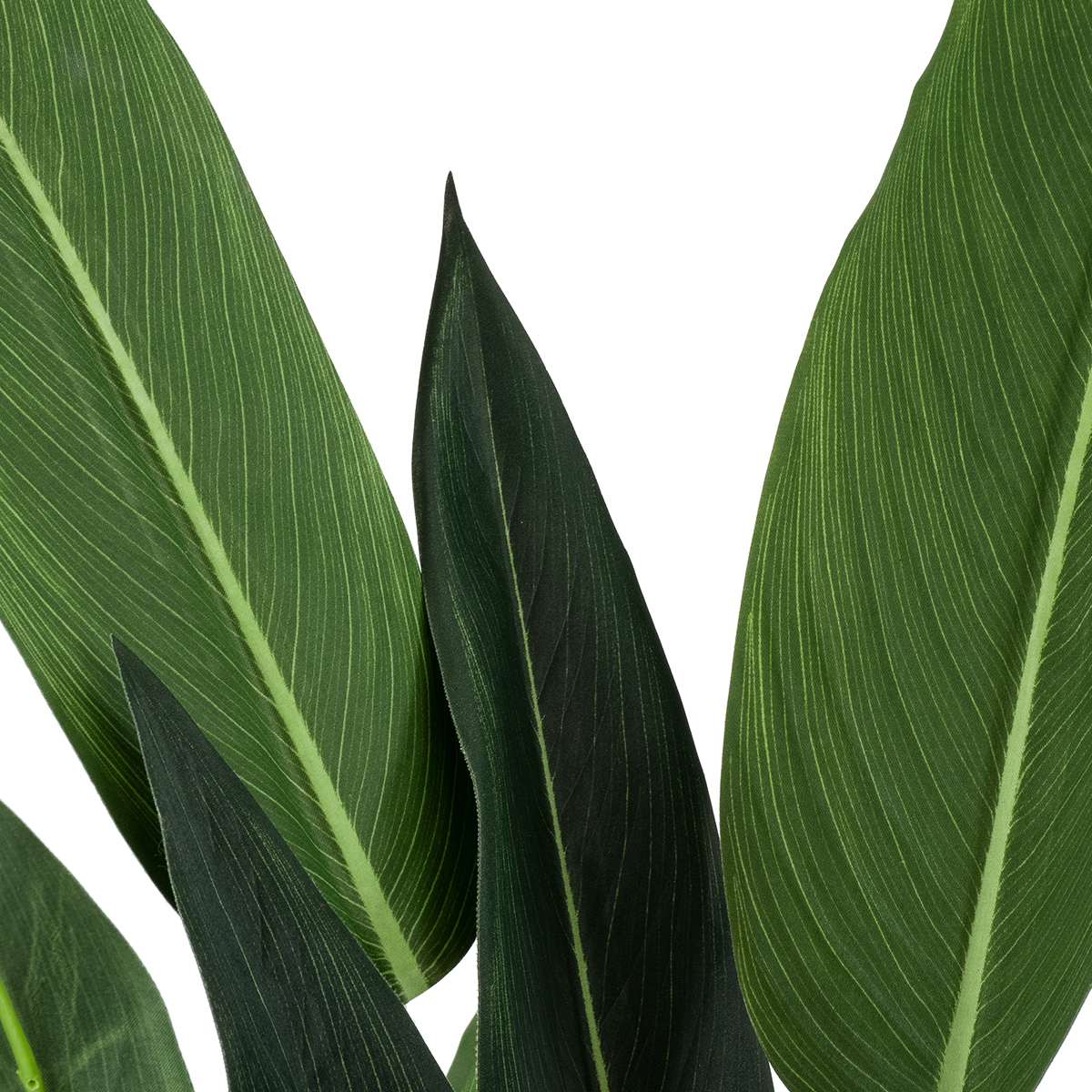 GloboStar® Artificial Garden STRELITZIA 20028 Τεχνητό Διακοσμητικό Φυτό Στρελίτσια - Πουλί του Παραδείσου Υ120cm - Image 3