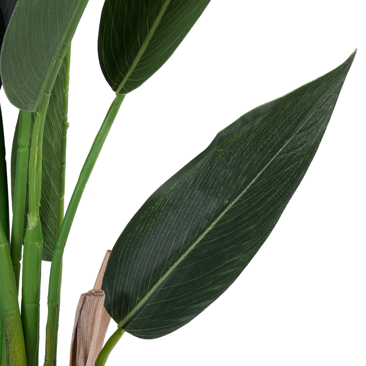 GloboStar® Artificial Garden STRELITZIA 20028 Τεχνητό Διακοσμητικό Φυτό Στρελίτσια - Πουλί του Παραδείσου Υ120cm - Image 4