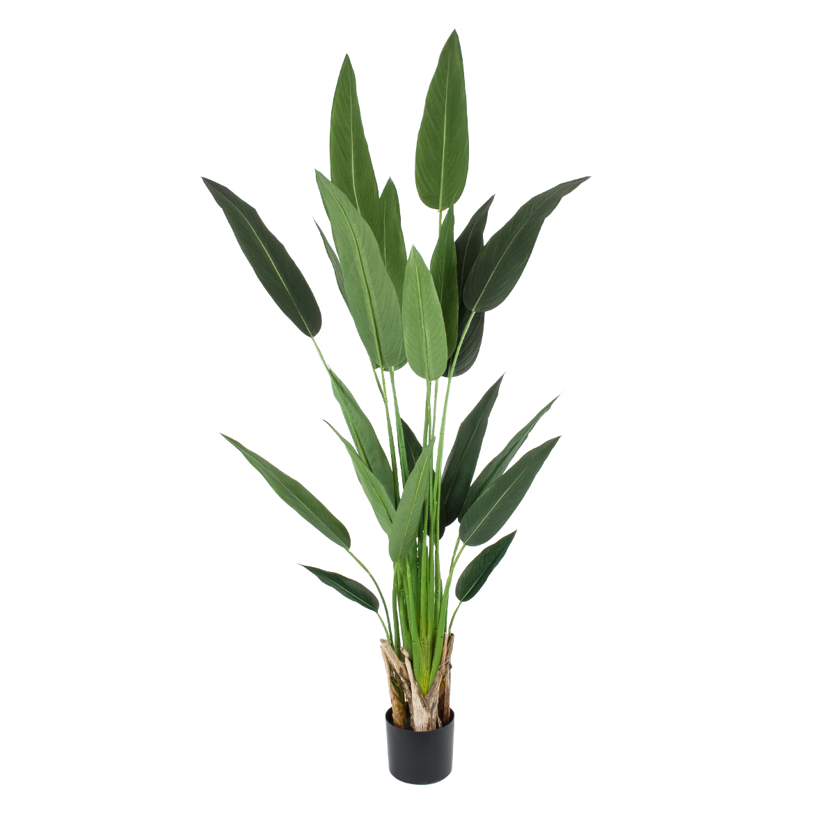 GloboStar® Artificial Garden STRELITZIA 20030 Τεχνητό Διακοσμητικό Φυτό Στρελίτσια - Πουλί του Παραδείσου Υ180cm - Image 2