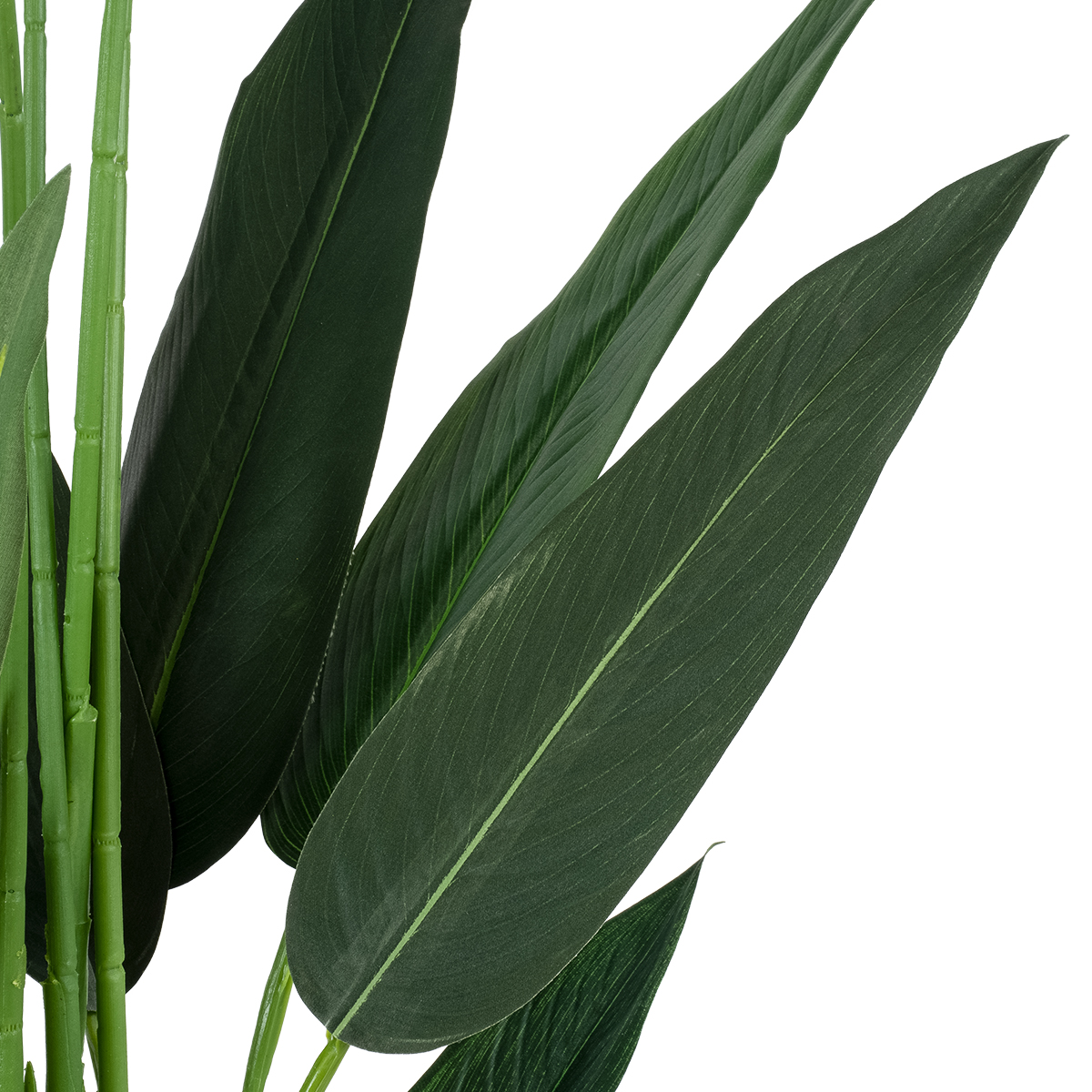 GloboStar® Artificial Garden STRELITZIA 20030 Τεχνητό Διακοσμητικό Φυτό Στρελίτσια - Πουλί του Παραδείσου Υ180cm - Image 3