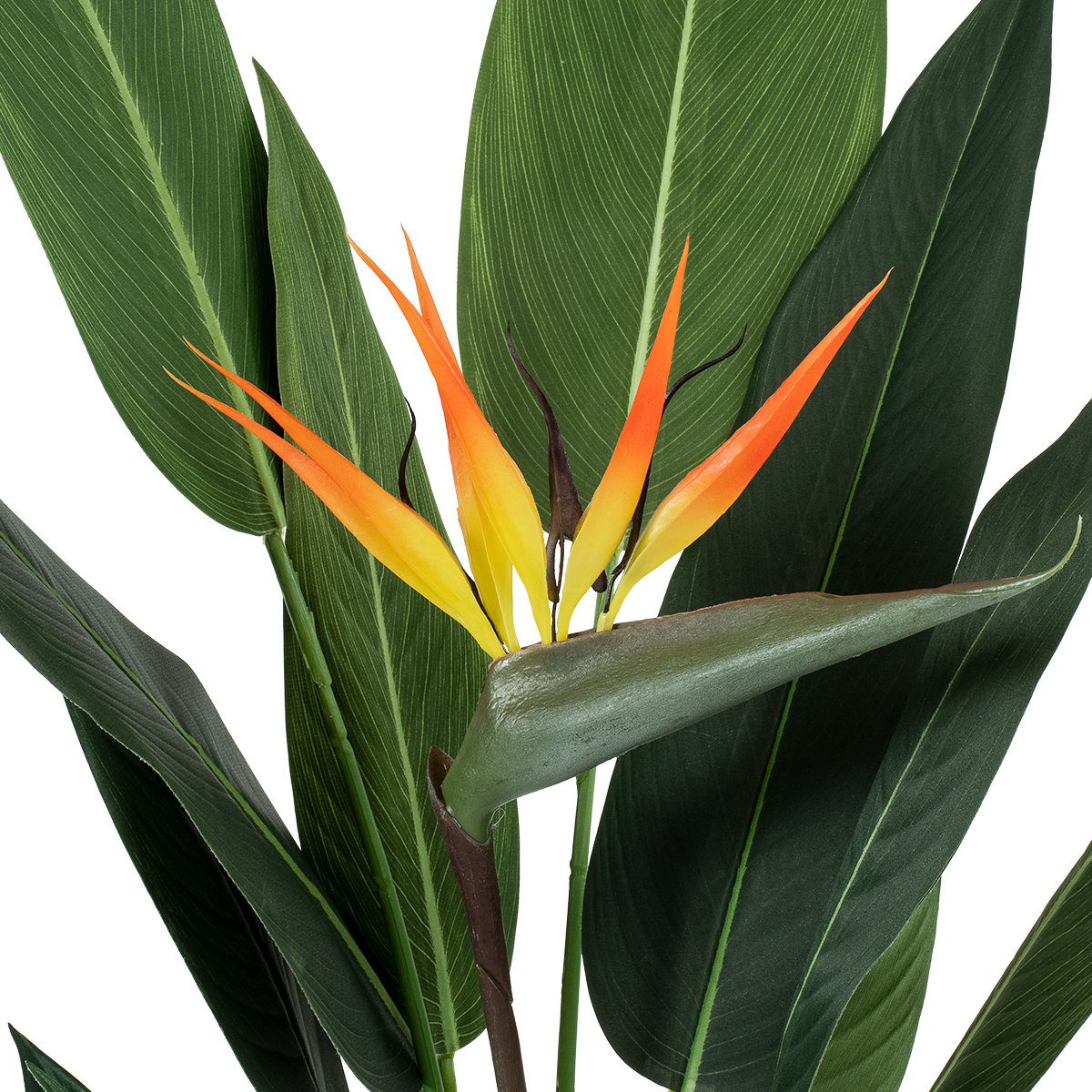 GloboStar® Artificial Garden STRELITZIA REGINAE 20031 Τεχνητό Διακοσμητικό Φυτό Στρελίτσια - Πουλί του Παραδείσου Υ120cm - Image 4