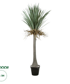 GloboStar® Artificial Garden BEAUCARNEA PALM TREE 20047 Τεχνητό Διακοσμητικό Φυτό Κυρτόφυλλος Μπουκαρνέα Υ200cm