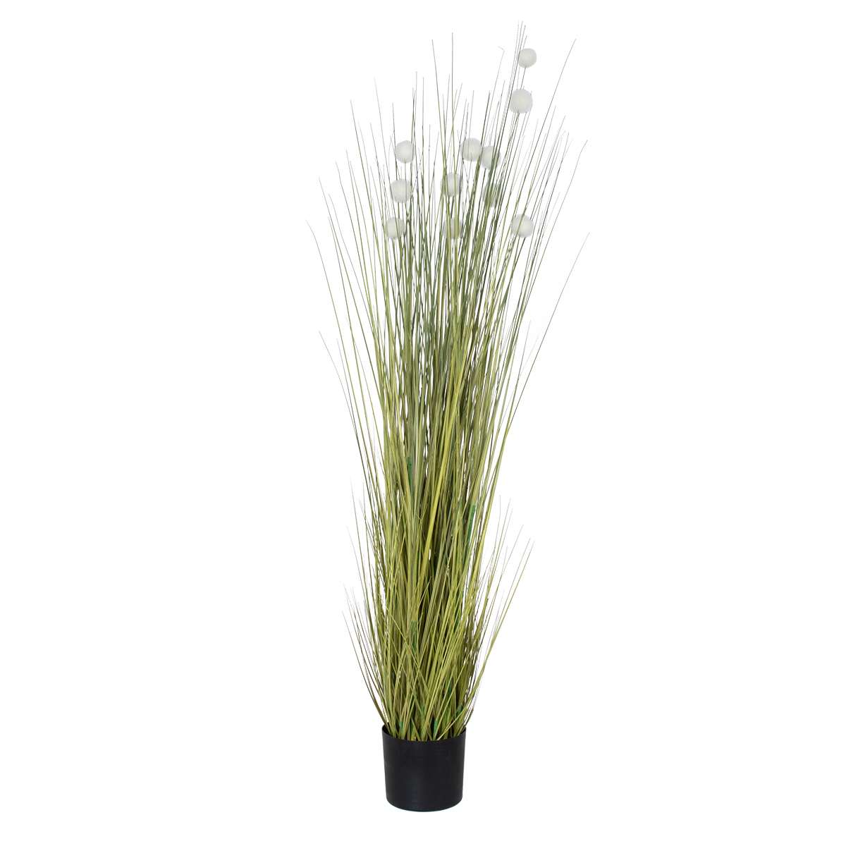 GloboStar® Artificial Garden ERIOPHORUM ANGUSTIFOLIUM COTTON GRASS 20073 Τεχνητό Διακοσμητικό Φυτό Γρασίδι του Βαμβακιού Υ150cm - Image 2