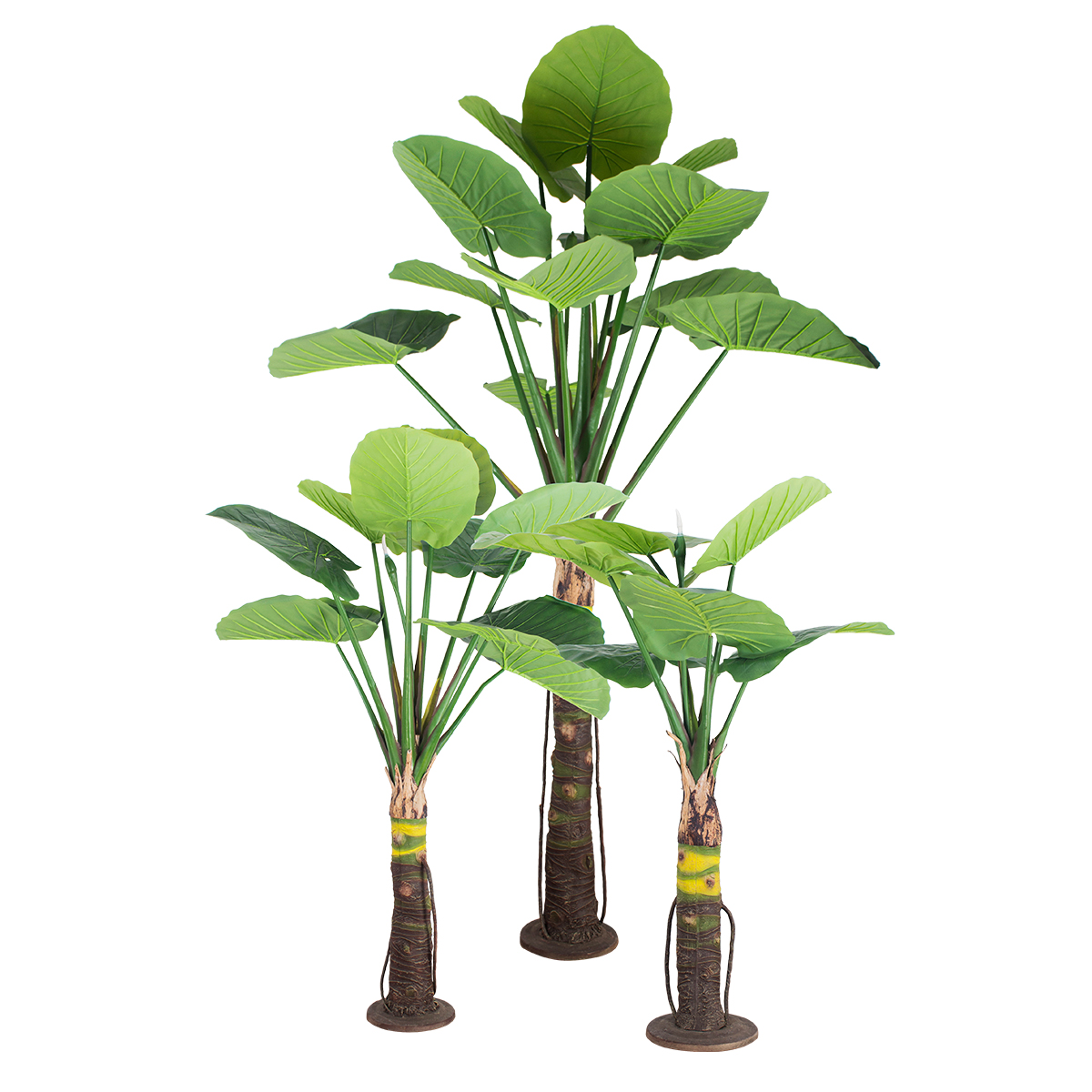 GloboStar® Artificial Garden TARO SET 20089 Τεχνητό Διακοσμητικό Σετ Φυτών Κολοκασία A:Υ300cm B:Υ210cm C:Υ160cm - Image 2