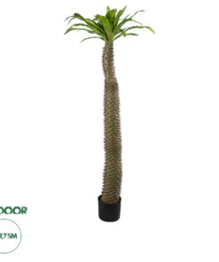 GloboStar® Artificial Garden PACHYPODIUM LAMEREI PALM TREE 20130 Τεχνητό Διακοσμητικό Φυτό Φοίνικας της Μαγαδασκάρης Υ175cm