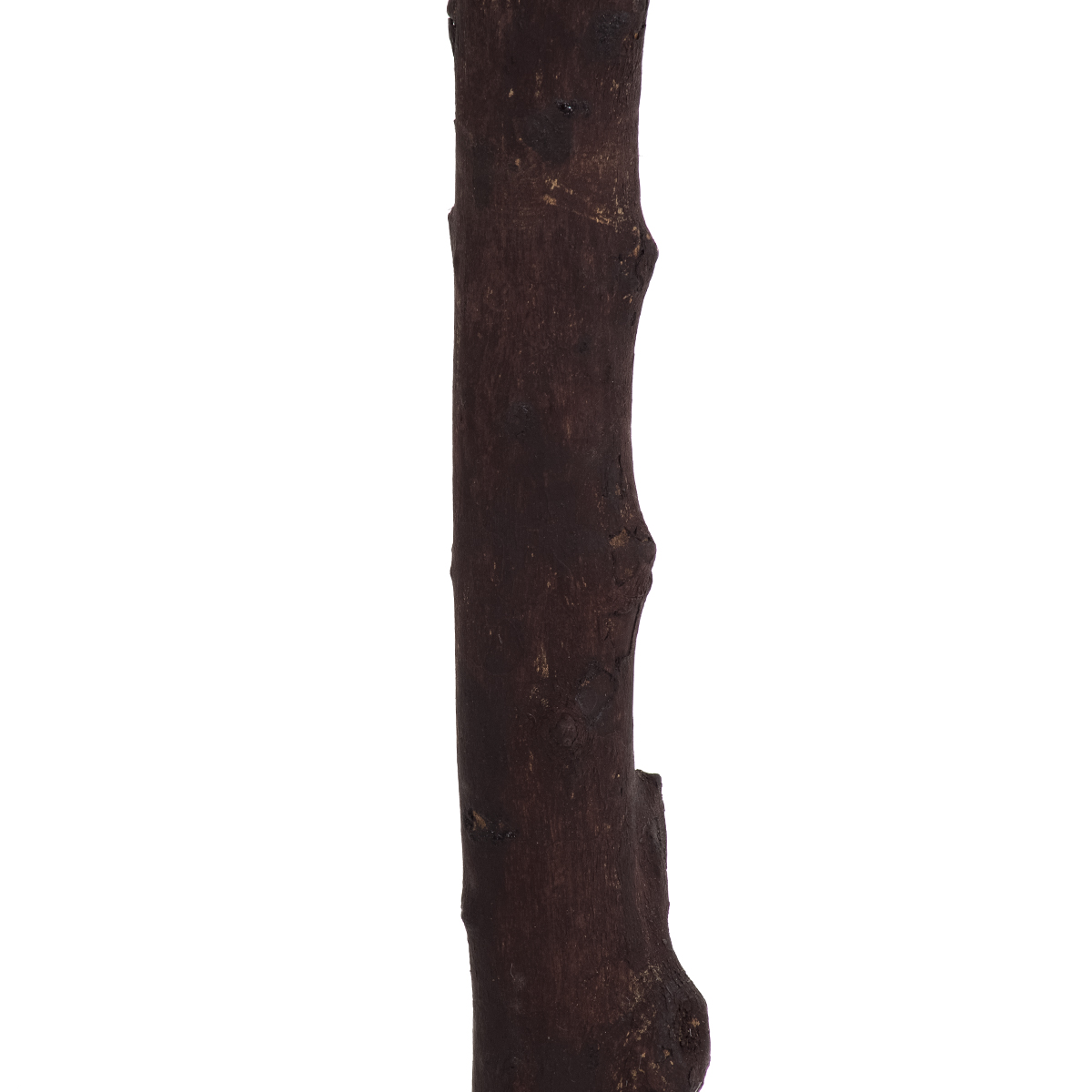 GloboStar® Artificial Garden SALMON CHERRY BLOSSOM TREE 20139 Τεχνητό Διακοσμητικό Δέντρο Σομόν Κερασιά Υ160cm - Image 5