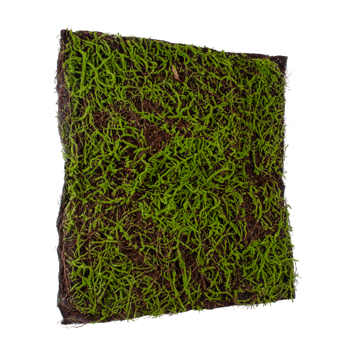 GloboStar® Artificial Garden BRYOPHYTA 20143 Τεχνητό Διακοσμητικό Πάνελ Φυλλωσιάς - Κάθετος Κήπος Βρύα Μ100 x Π100 x Υ5cm - Image 4