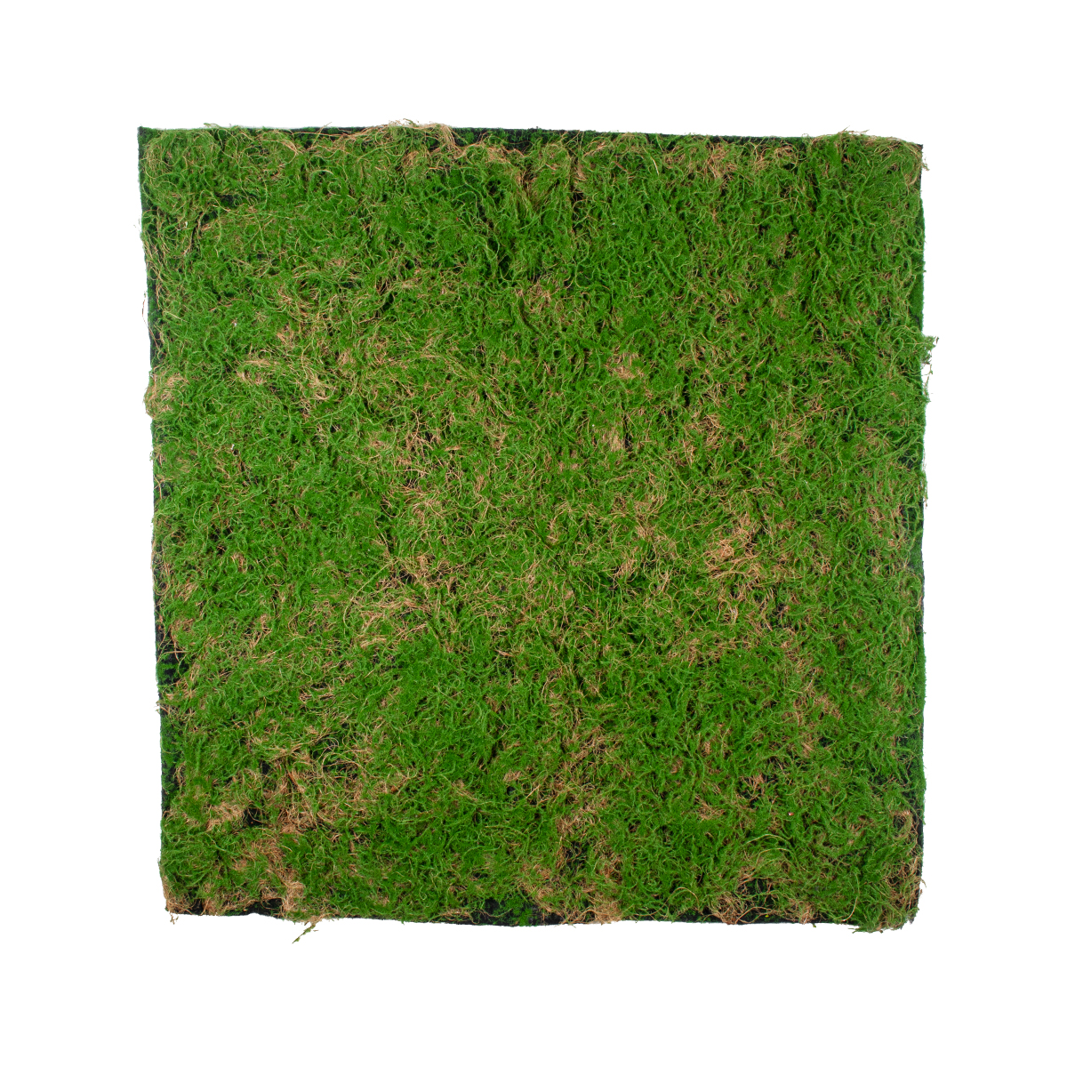 GloboStar® Artificial Garden BRYOPHYTA 20144 Τεχνητό Διακοσμητικό Πάνελ Φυλλωσιάς - Κάθετος Κήπος Βρύα Μ100 x Π100 x Υ3cm - Image 2
