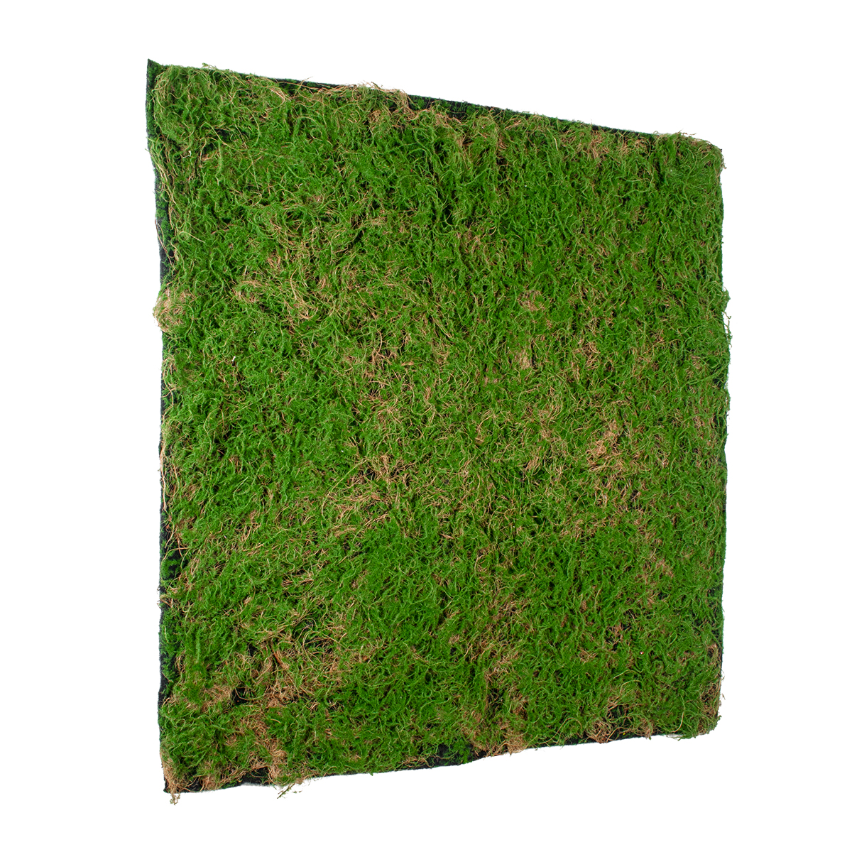 GloboStar® Artificial Garden BRYOPHYTA 20144 Τεχνητό Διακοσμητικό Πάνελ Φυλλωσιάς - Κάθετος Κήπος Βρύα Μ100 x Π100 x Υ3cm - Image 4