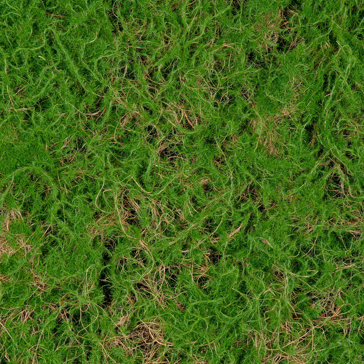 GloboStar® Artificial Garden BRYOPHYTA 20144 Τεχνητό Διακοσμητικό Πάνελ Φυλλωσιάς - Κάθετος Κήπος Βρύα Μ100 x Π100 x Υ3cm - Image 5