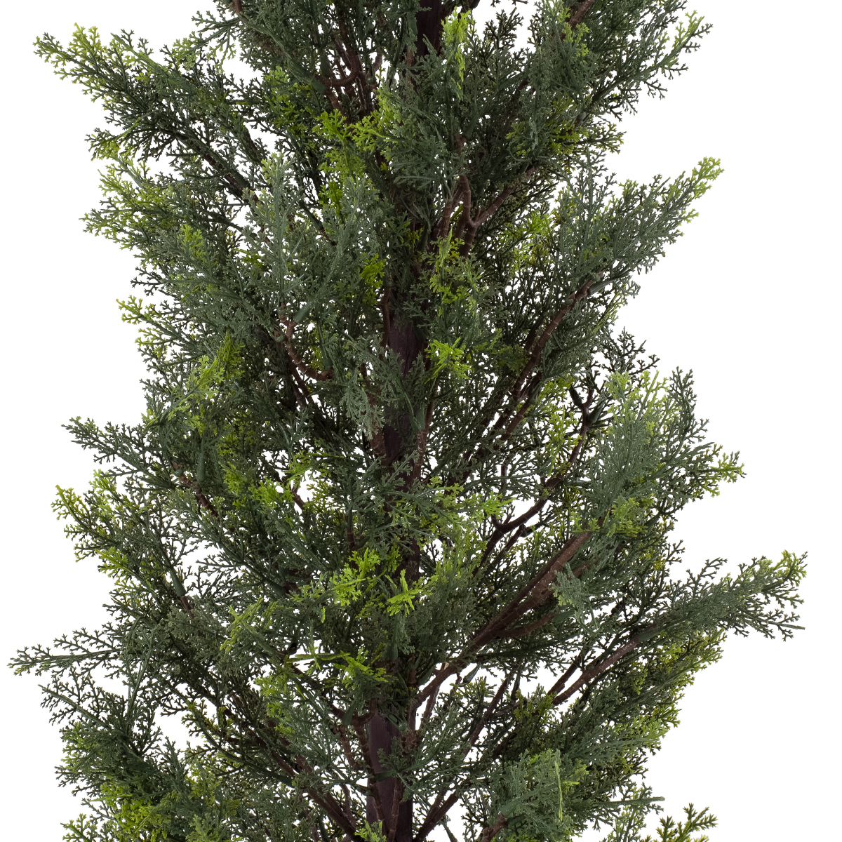 GloboStar® Artificial Garden LEMON CYPRESS 20151 Τεχνητό Διακοσμητικό Φυτό Λεμονόκυπάρισσο Υ120cm - Image 4