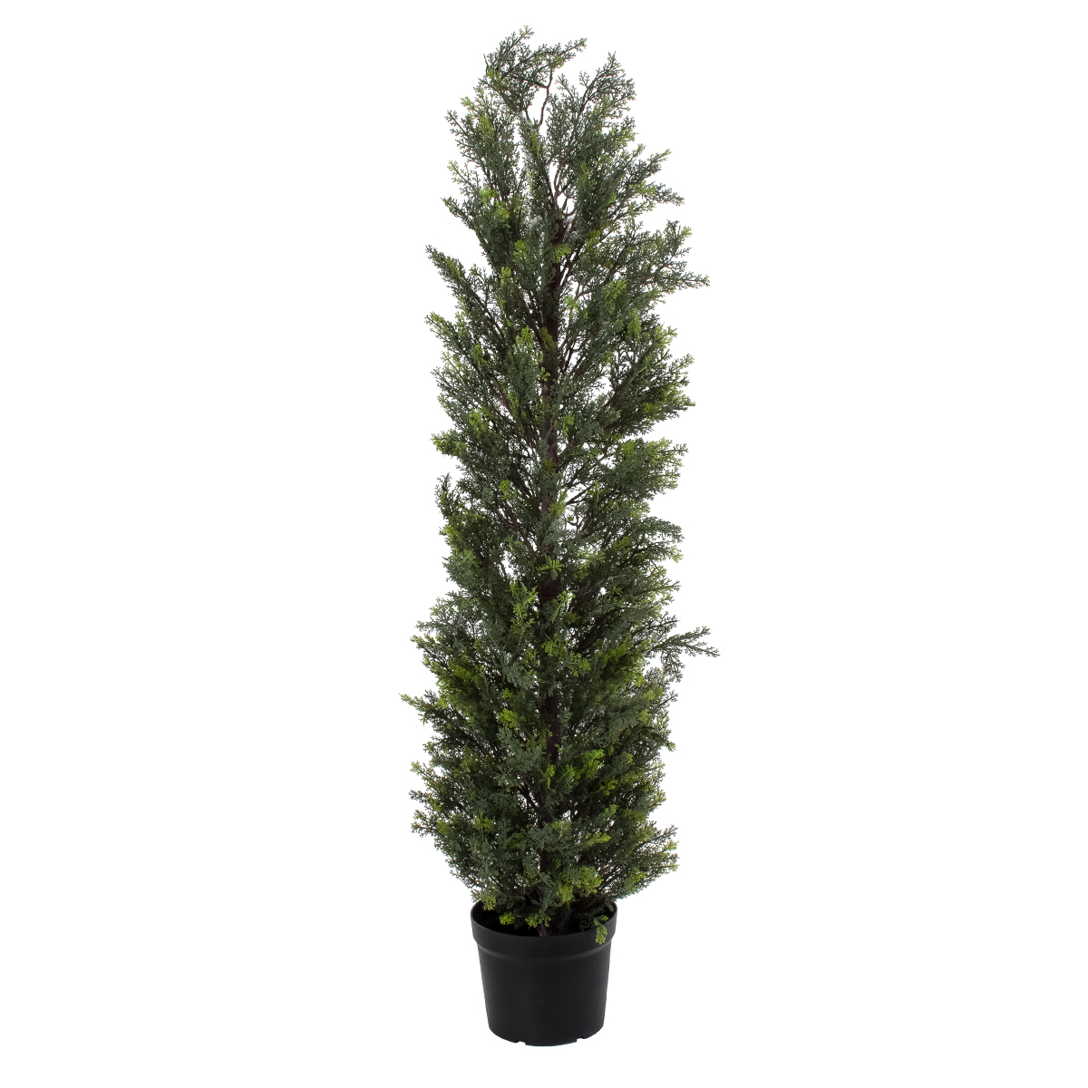 GloboStar® Artificial Garden LEMON CYPRESS 20152 Τεχνητό Διακοσμητικό Φυτό Λεμονόκυπάρισσο Υ150cm - Image 2