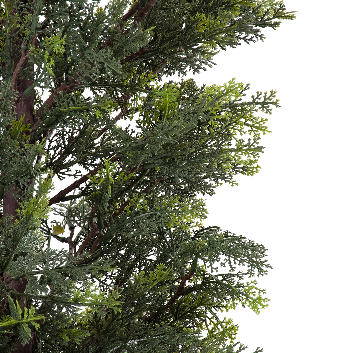 GloboStar® Artificial Garden LEMON CYPRESS 20152 Τεχνητό Διακοσμητικό Φυτό Λεμονόκυπάρισσο Υ150cm - Image 3