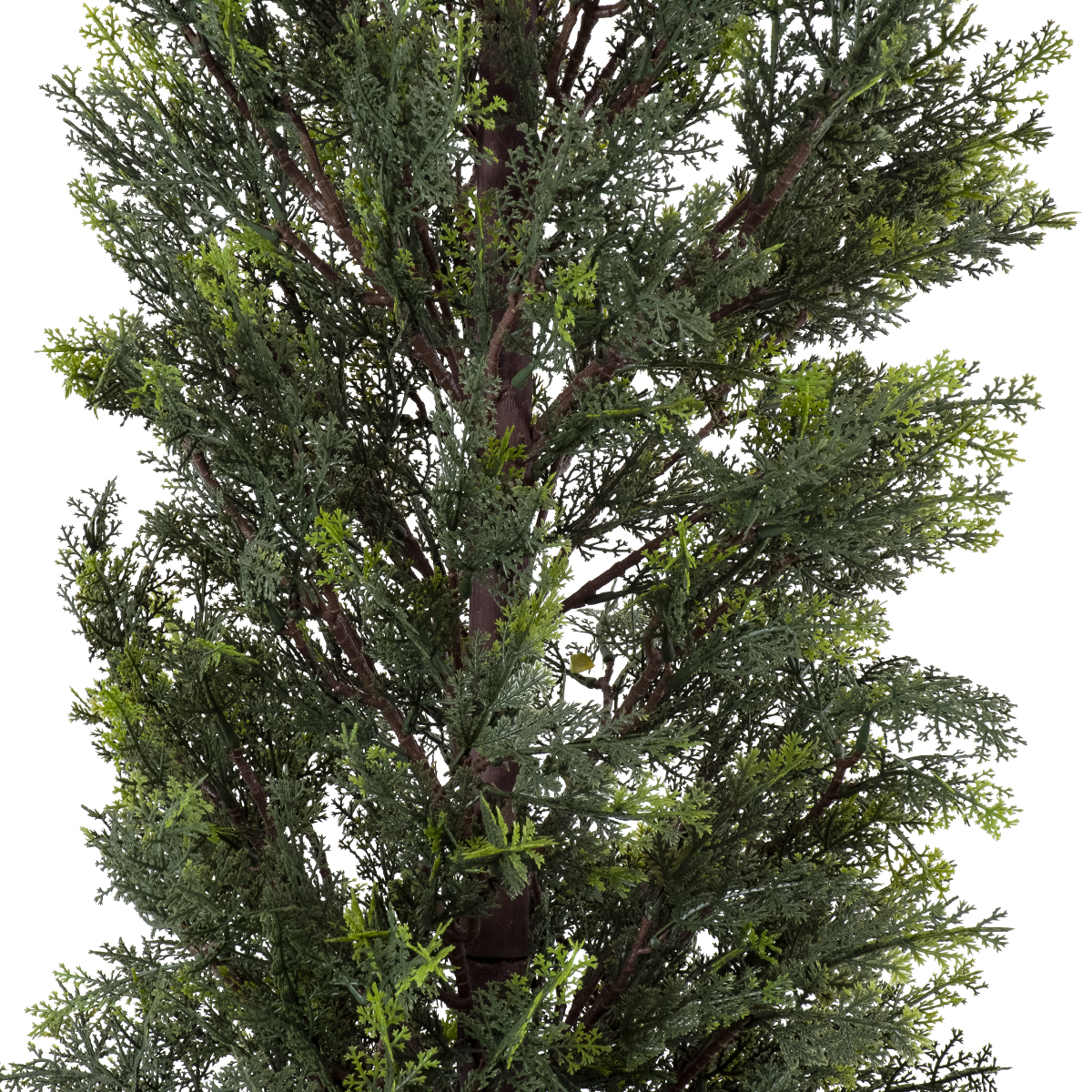 GloboStar® Artificial Garden LEMON CYPRESS 20152 Τεχνητό Διακοσμητικό Φυτό Λεμονόκυπάρισσο Υ150cm - Image 4