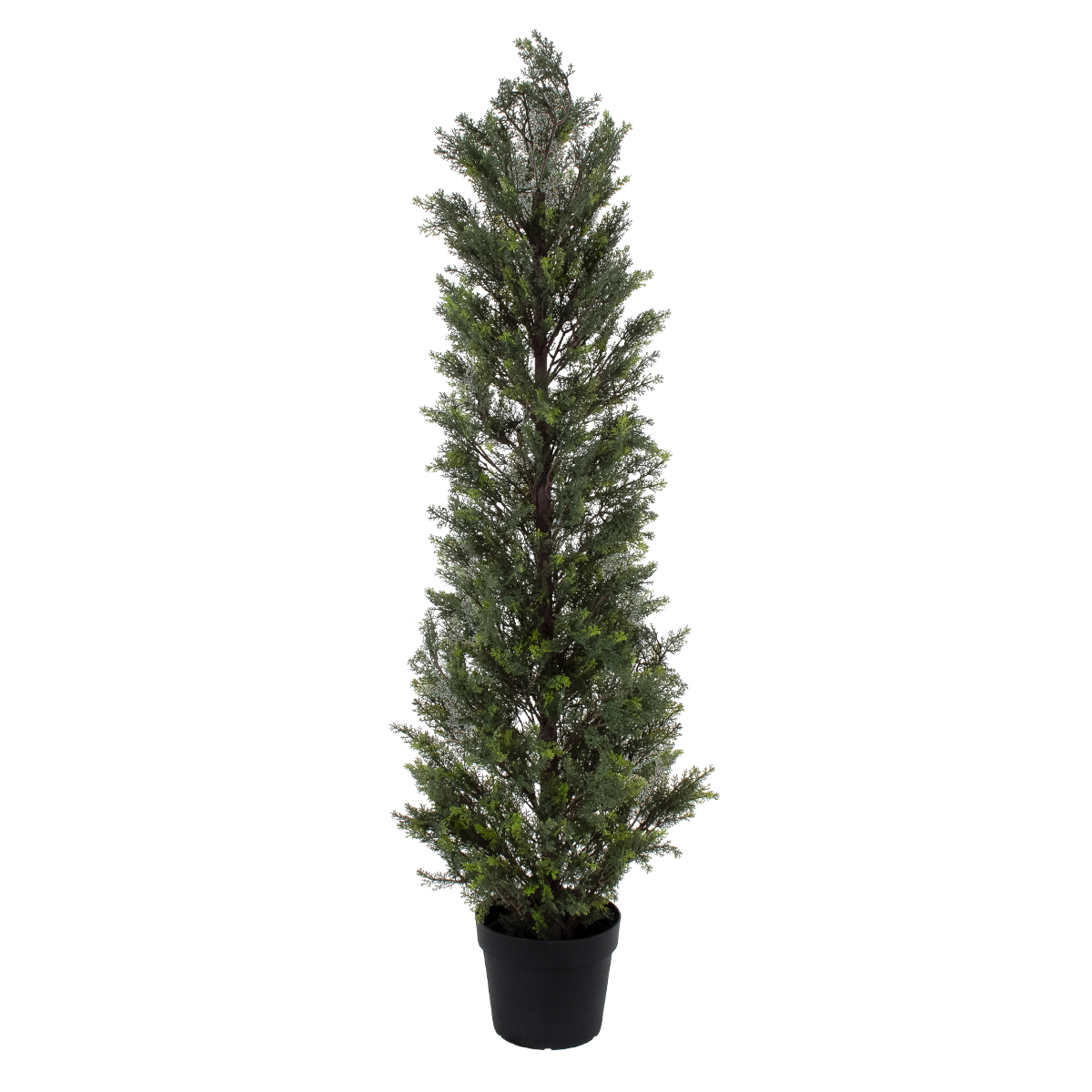 GloboStar® Artificial Garden LEMON CYPRESS 20153 Τεχνητό Διακοσμητικό Φυτό Λεμονόκυπάρισσο Υ180cm - Image 2