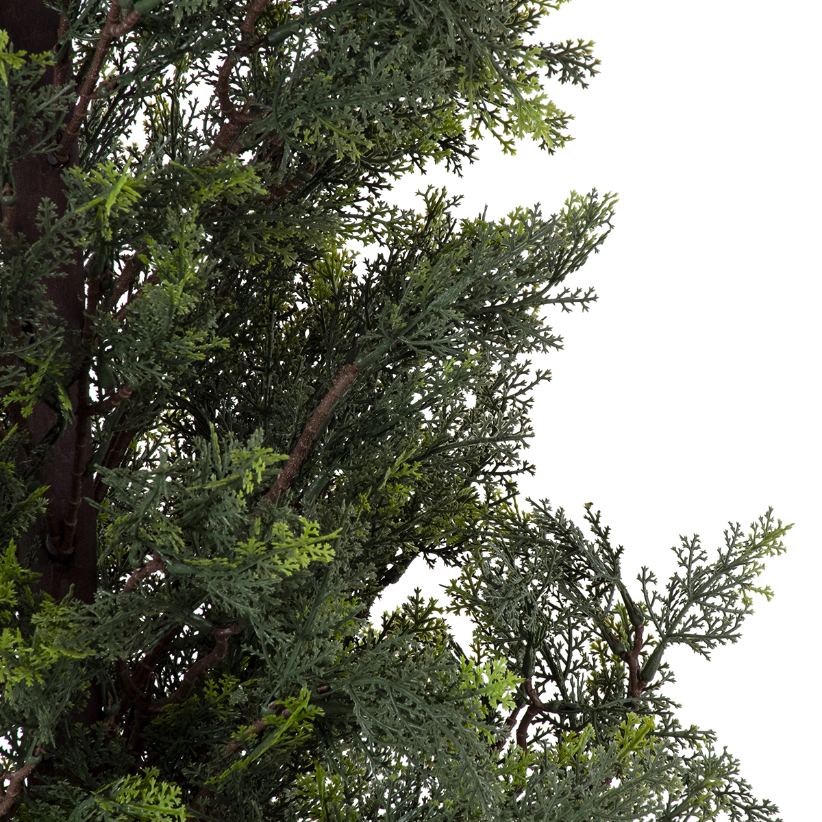 GloboStar® Artificial Garden LEMON CYPRESS 20153 Τεχνητό Διακοσμητικό Φυτό Λεμονόκυπάρισσο Υ180cm - Image 3