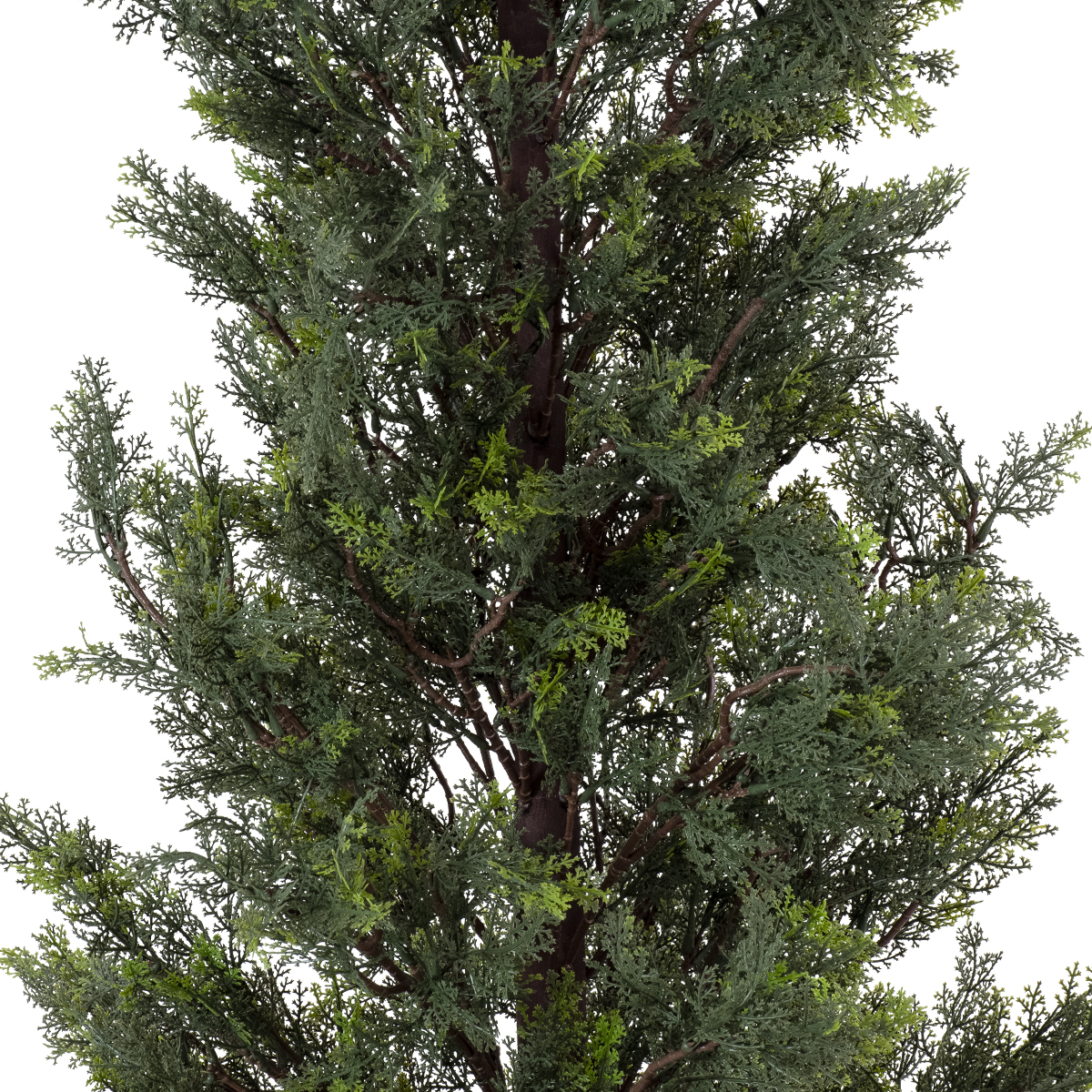 GloboStar® Artificial Garden LEMON CYPRESS 20153 Τεχνητό Διακοσμητικό Φυτό Λεμονόκυπάρισσο Υ180cm - Image 4