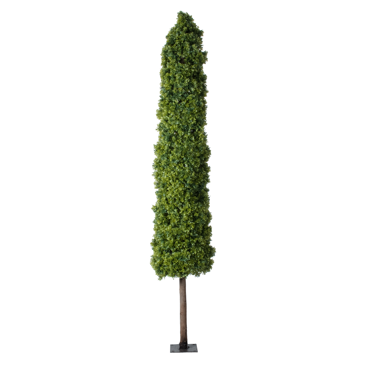 GloboStar® Artificial Garden BUXUS 20158 Τεχνητό Διακοσμητικό Φυτό Πυξός Υ250cm - Image 2
