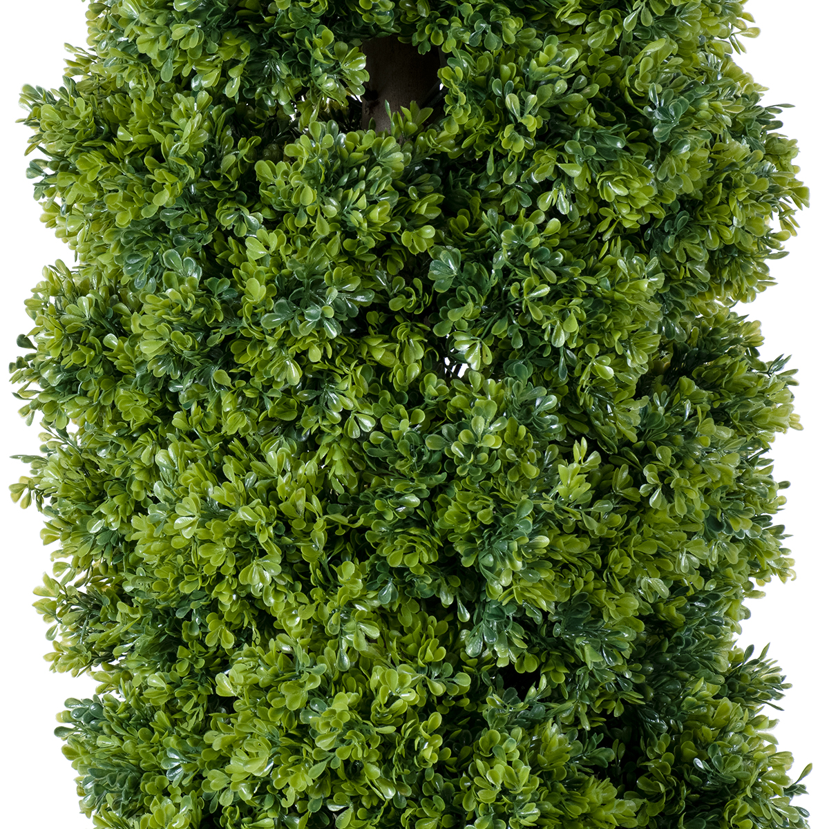 GloboStar® Artificial Garden BUXUS 20158 Τεχνητό Διακοσμητικό Φυτό Πυξός Υ250cm - Image 3