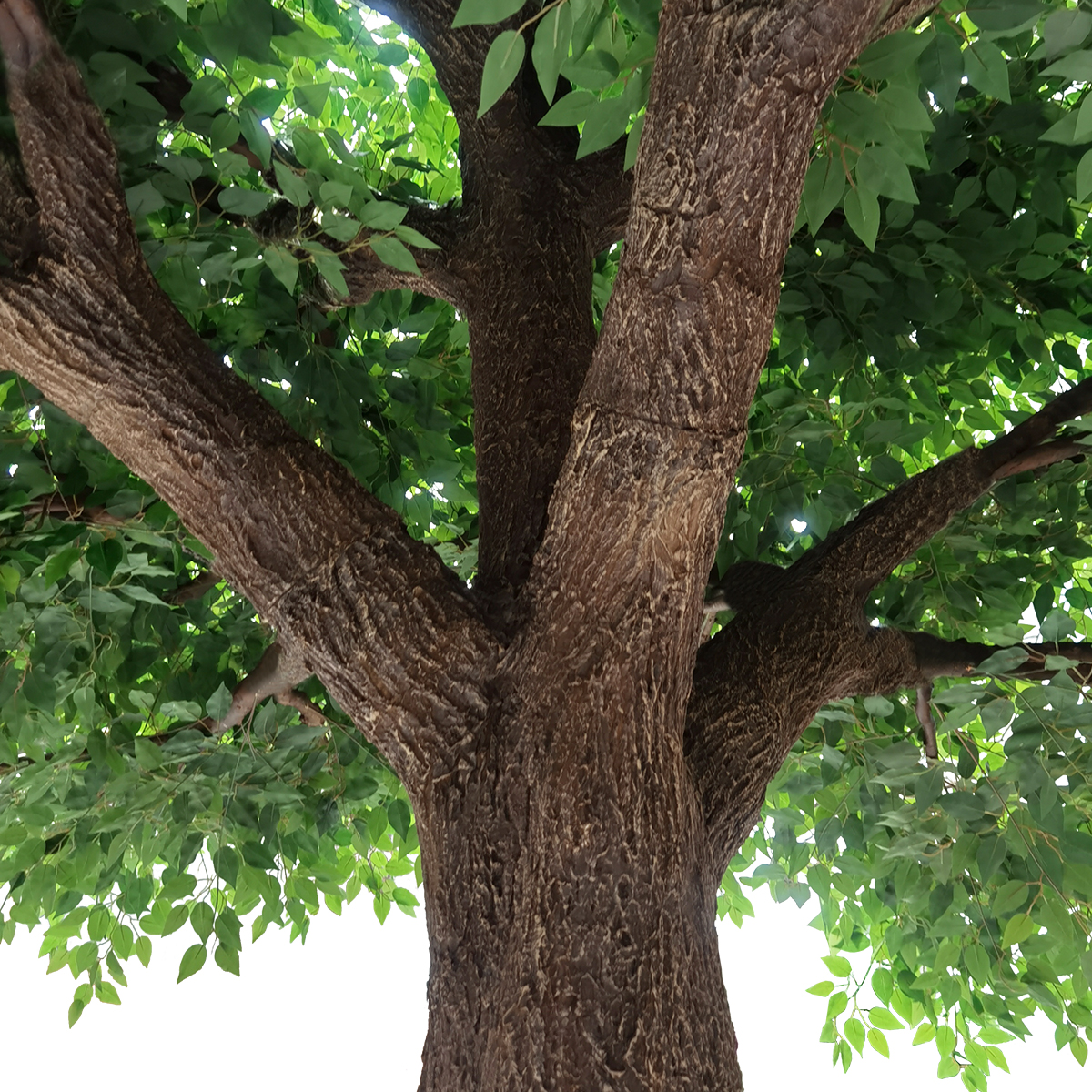 GloboStar® Artificial Garden BANYAN FICUS TREE 20160 Τεχνητό Διακοσμητικό Δέντρο Ινδική Συκιά Φίκος Υ340cm - Image 3