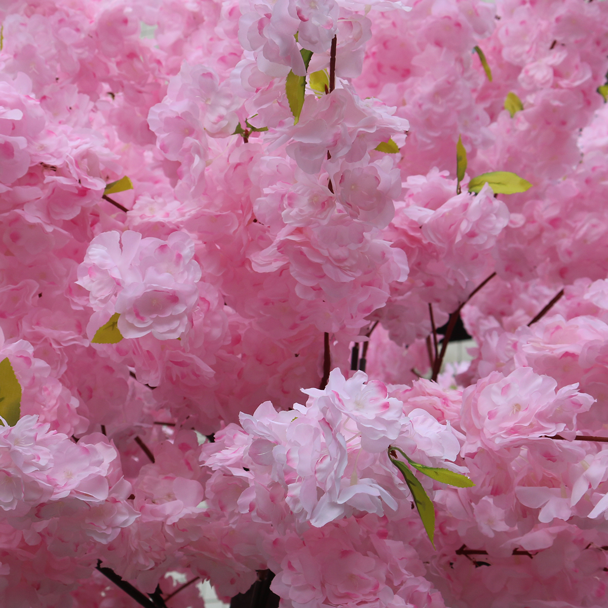 GloboStar® Artificial Garden CHERRY BLOSSOM TREE 20184 Τεχνητό Διακοσμητικό Δέντρο Βουκαμβίλια Άνθος Κερασιάς Υ320cm - Image 3