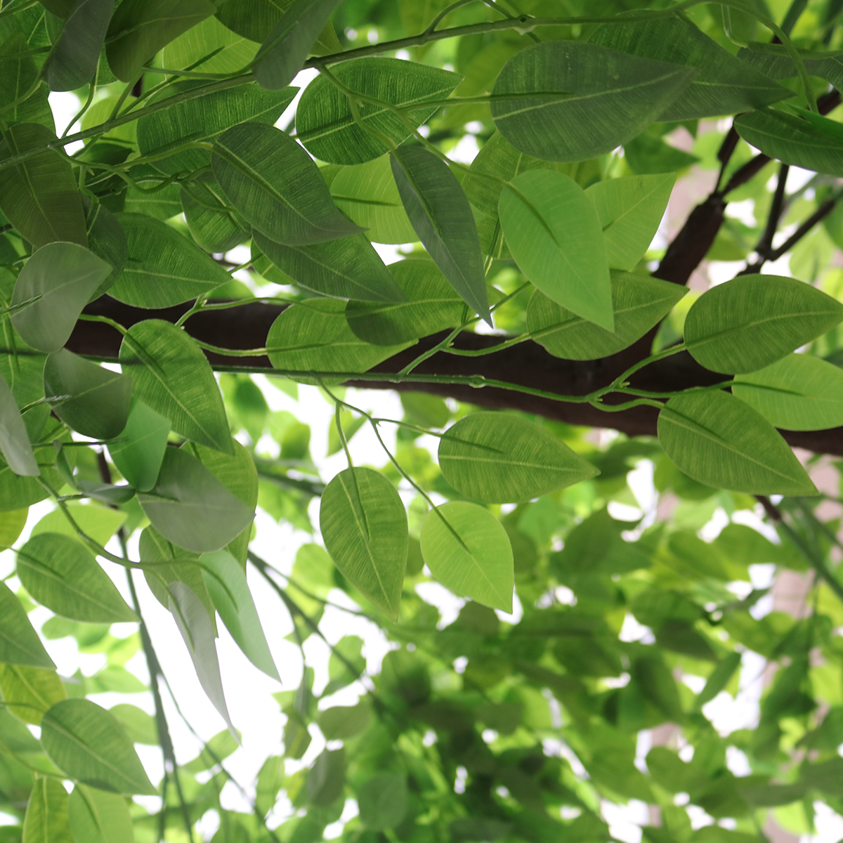 GloboStar® Artificial Garden BANYAN FICUS TREE 20186 Τεχνητό Διακοσμητικό Δέντρο Ινδική Συκιά Φίκος Υ320cm - Image 3