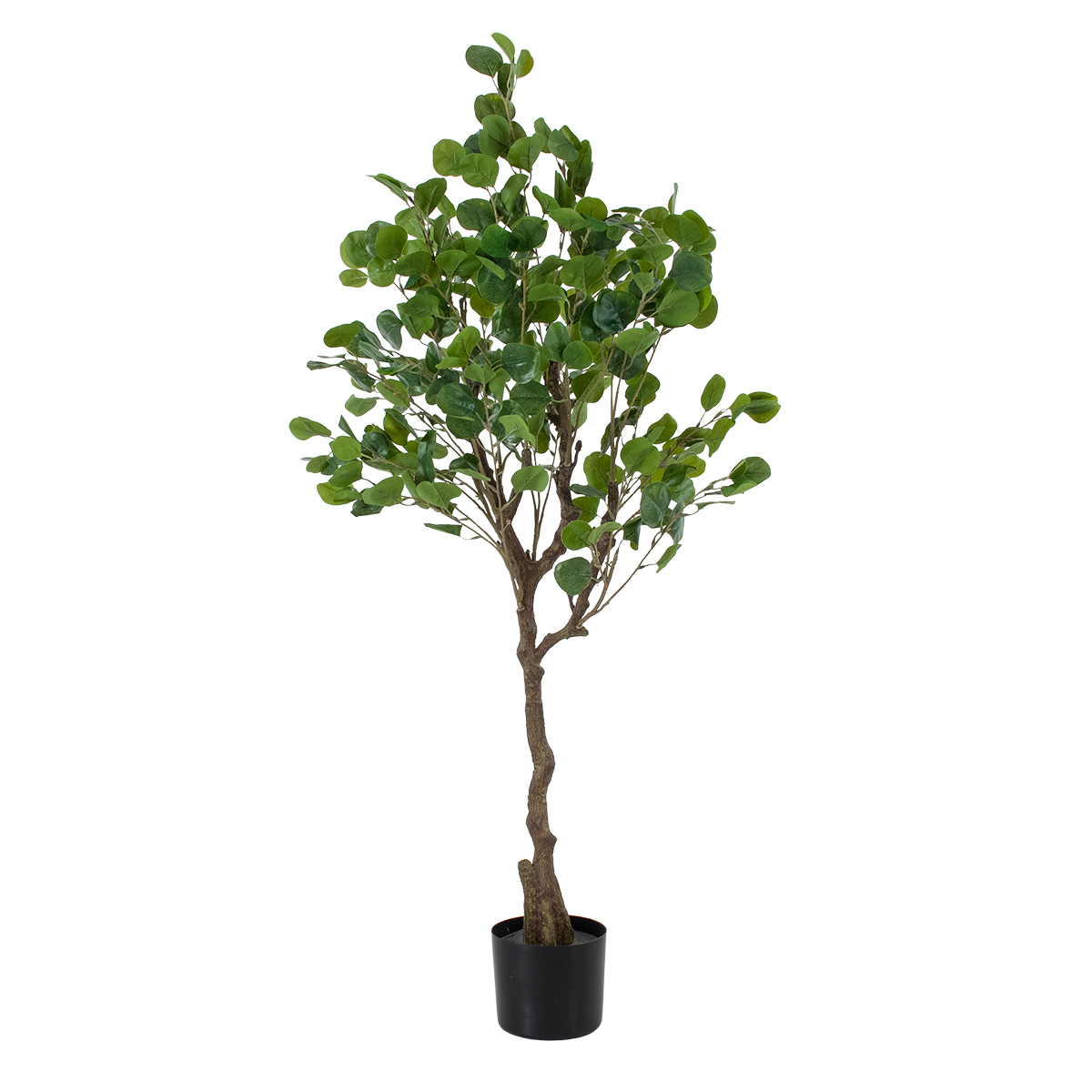 GloboStar® Artificial Garden EUCALYPTUS 20190 Τεχνητό Διακοσμητικό Φυτό Ευκάλυπτος Υ120cm - Image 2