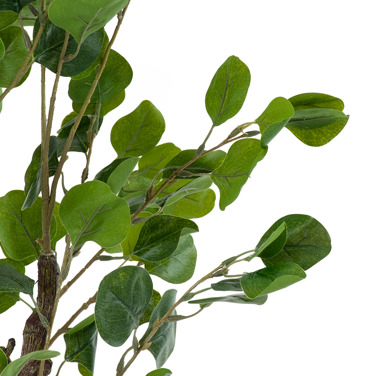 GloboStar® Artificial Garden EUCALYPTUS 20190 Τεχνητό Διακοσμητικό Φυτό Ευκάλυπτος Υ120cm - Image 3