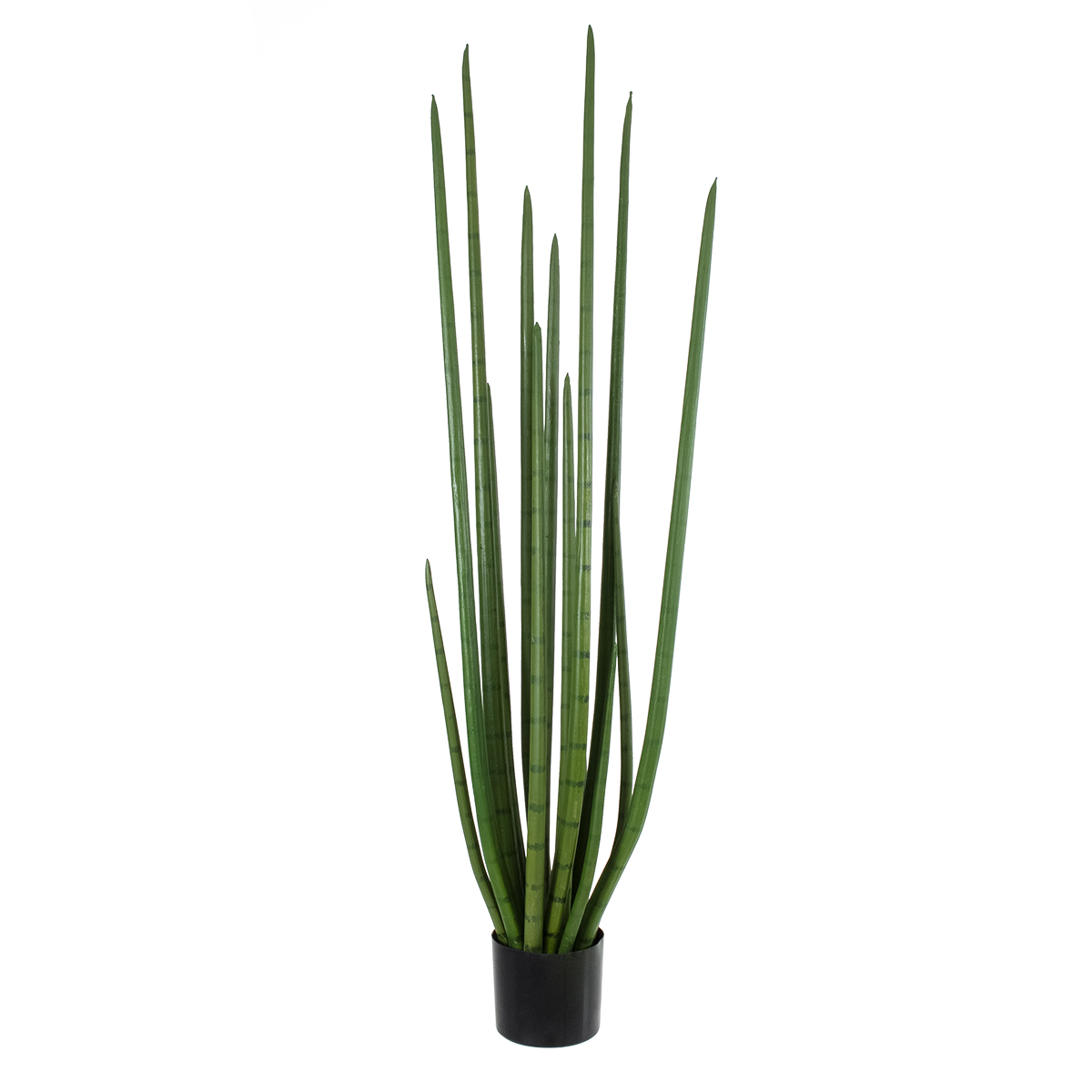 GloboStar® Artificial Garden SANSEVIERIA CYLINDRICA 20211 Τεχνητό Διακοσμητικό Φυτό Σανσεβιέρια Υ160cm - Image 2