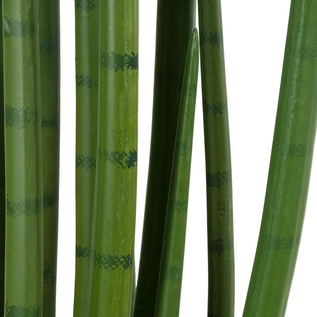 GloboStar® Artificial Garden SANSEVIERIA CYLINDRICA 20211 Τεχνητό Διακοσμητικό Φυτό Σανσεβιέρια Υ160cm - Image 4