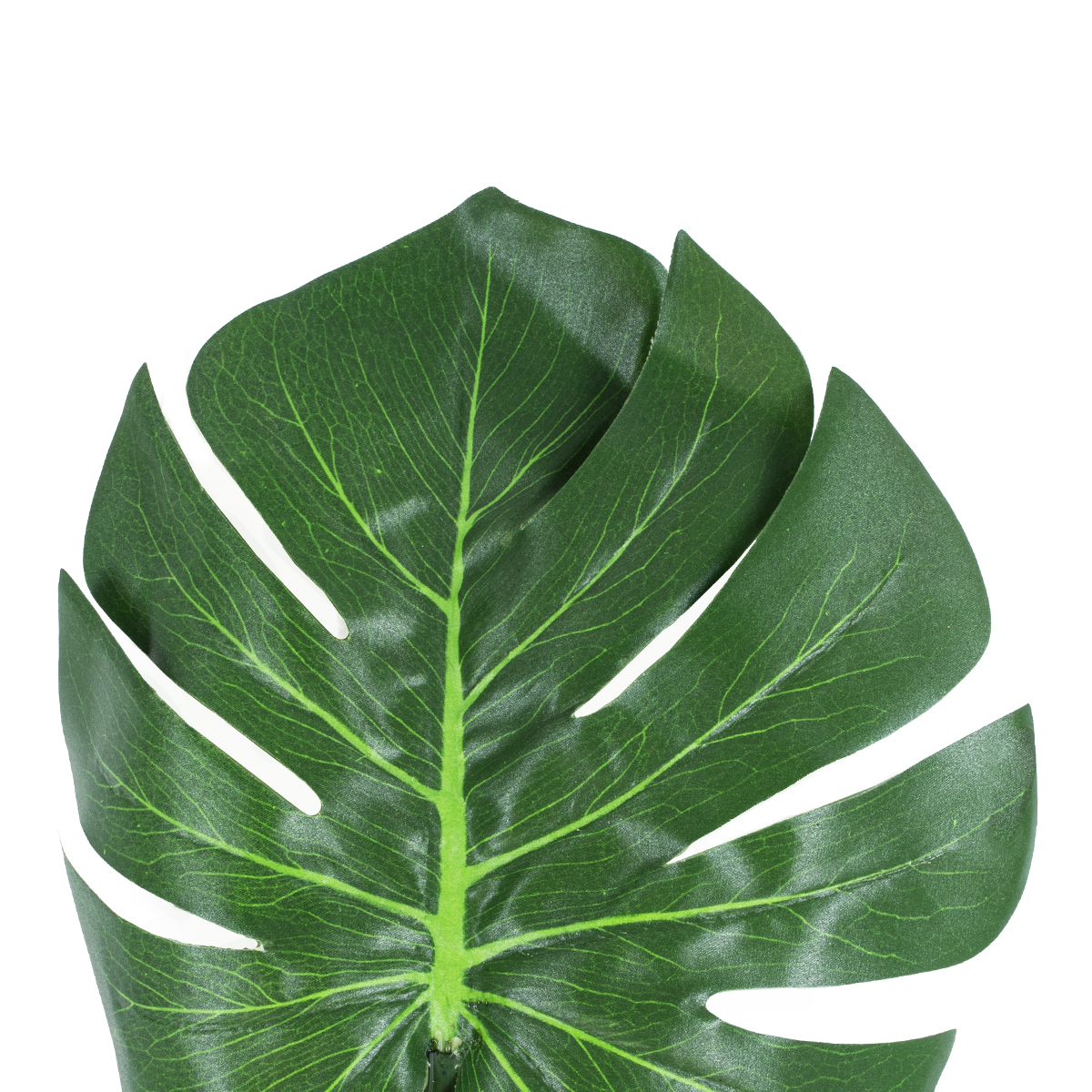 GloboStar® Artificial Garden MONSTERA LEAF 20222 - Τεχνητό Διακοσμητικό Φύλο Μονστέρας Π28 x Υ83cm - Image 3