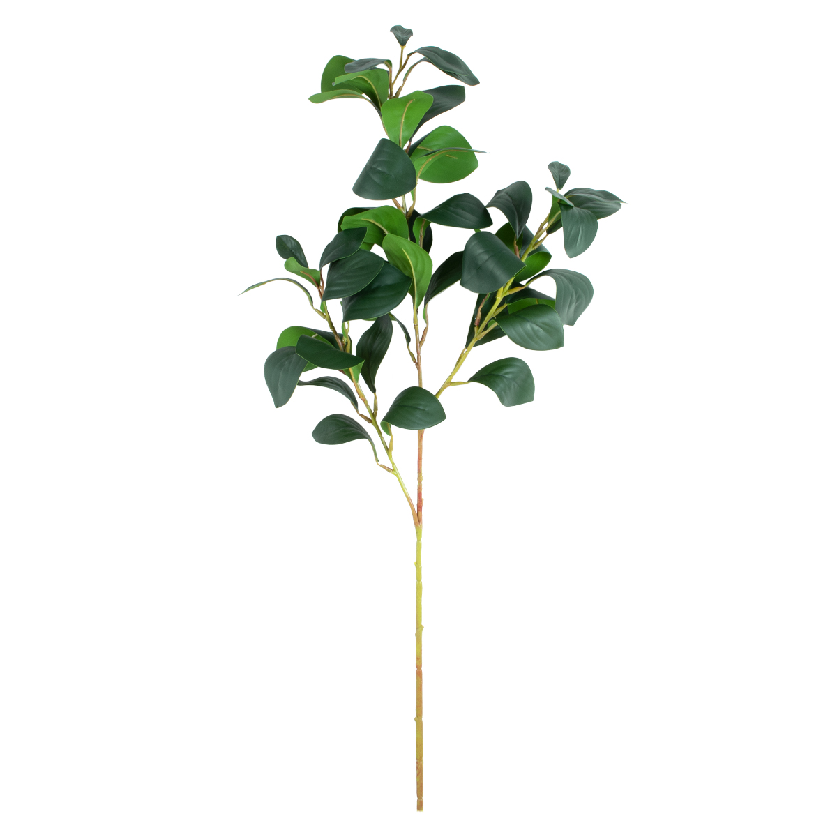 GloboStar® Artificial Garden LAURUS NOBILIS BRANCH 20224 Τεχνητό Διακοσμητικό Κλαδί Δάφνης Π35 x Υ70cm - Image 2