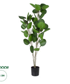 GloboStar® Artificial Garden POLYSCIAS BALFOURIANA TREE 20374 Τεχνητό Διακοσμητικό Φυτό Πολυσκιά Υ110cm