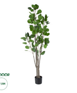 GloboStar® Artificial Garden POLYSCIAS BALFOURIANA TREE 20375 Τεχνητό Διακοσμητικό Φυτό Πολυσκιά Υ180cm