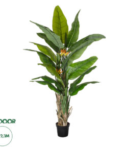 GloboStar® Artificial Garden BANANA STRELITZIA REGINAE 20381 - Τεχνητό Διακοσμητικό Φυτό Μπανανιά - Στρελίτσια - Πουλί του Παραδείσου Υ230cm