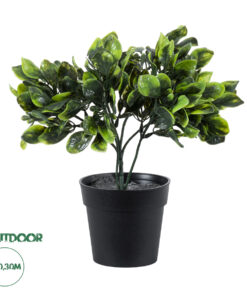 GloboStar® Artificial Garden ANUBIA BARTERI 20390 Τεχνητό Διακοσμητικό Φυτό Ανούμπια Υ30cm