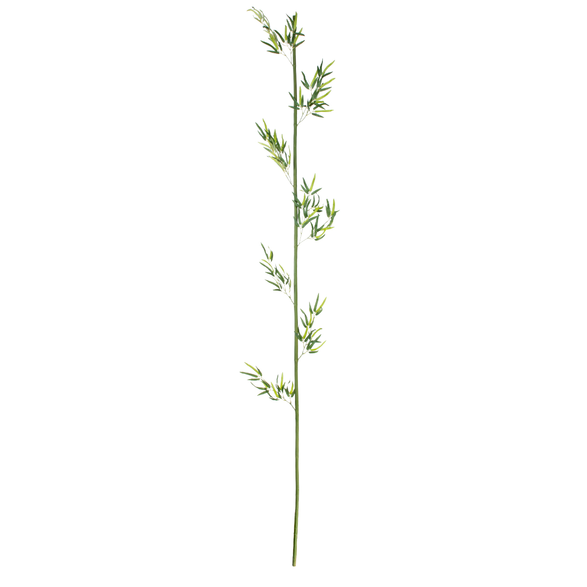 GloboStar® Artificial Garden BAMBOO BRANCH 20441 Τεχνητό Διακοσμητικό Κλαδί Μπαμπού Υ300cm - Image 2