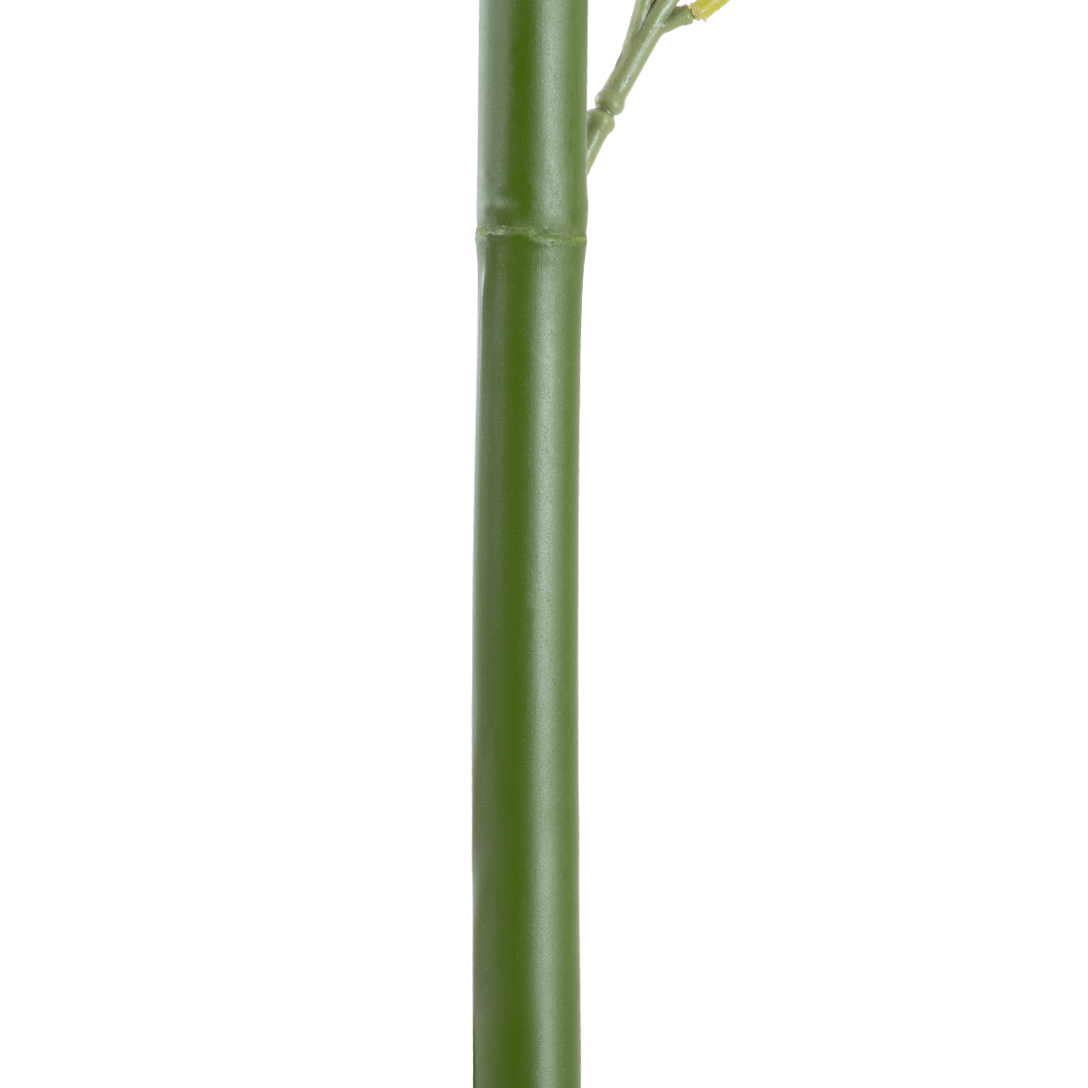 GloboStar® Artificial Garden BAMBOO BRANCH 20441 Τεχνητό Διακοσμητικό Κλαδί Μπαμπού Υ300cm - Image 4