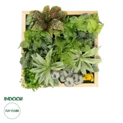 GloboStar® Artificial Garden VARIOUS PLANT 20641 Τεχνητό Διακοσμητικό Φυλλωσιάς σε Ξύλινο Πάνελ - Κάθετος Κήπος Μιξ Μ60 x Π60 x Υ32cm