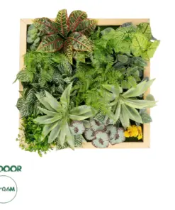 GloboStar® Artificial Garden VARIOUS PLANT 20641 Τεχνητό Διακοσμητικό Φυλλωσιάς σε Ξύλινο Πάνελ - Κάθετος Κήπος Μιξ Μ60 x Π60 x Υ32cm