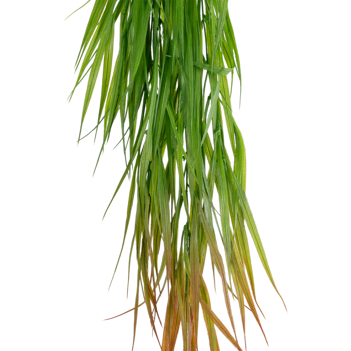 GloboStar® Artificial Garden HANGING CORN GRASS 20826 Τεχνητό Διακοσμητικό Κρεμαστό κλαδί Καλαμπόκι Μ23 x Π10 x Υ91cm - Image 3