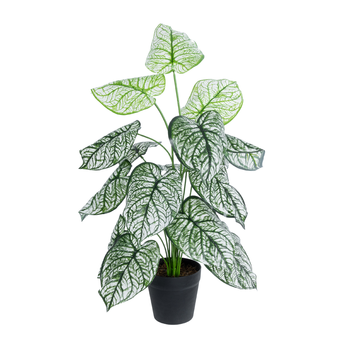 GloboStar® Artificial Garden CALADIUM 20908 Διακοσμητικό Φυτό Καλάδια Υ75cm - Image 2
