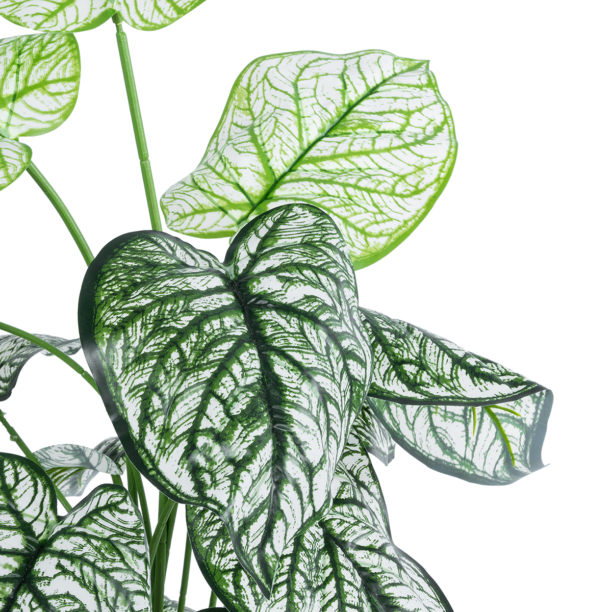 GloboStar® Artificial Garden CALADIUM 20908 Διακοσμητικό Φυτό Καλάδια Υ75cm - Image 3