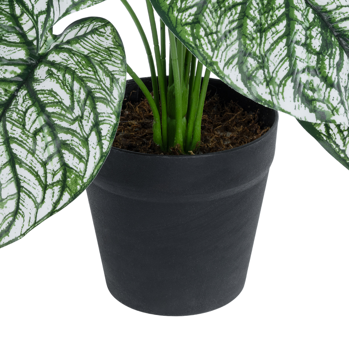 GloboStar® Artificial Garden CALADIUM 20908 Διακοσμητικό Φυτό Καλάδια Υ75cm - Image 4