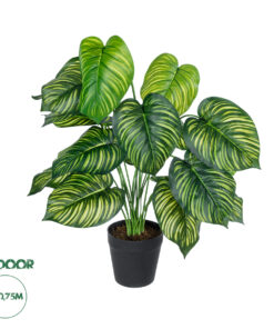 GloboStar® Artificial Garden CALATHEA PLANT 20912 Διακοσμητικό Φυτό Καλαθέα Φ55 x Υ75cm