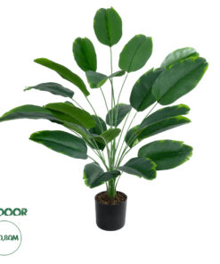 GloboStar® Artificial Garden YOUNG BANANA PLANT 20916 - Διακοσμητικό Φυτό Νεαρή Μπανανιά Φ82 x Υ80cm
