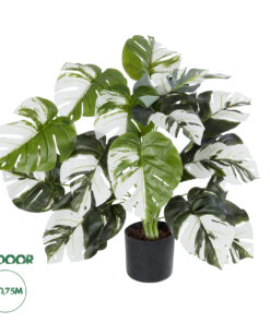 GloboStar® Artificial Garden ALBINO MONSTERA PLANT 20925 - Διακοσμητικό Φυτό Λευκή Μονστέρα Φ70 x Υ75cm