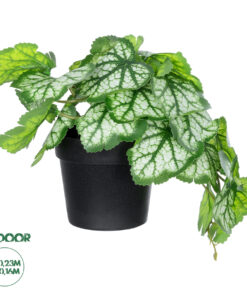 GloboStar® Artificial Garden WHITE BEGONIA PLANT 20947 Διακοσμητικό Φυτό Λευκή Βιγόνια Φ23 x Υ16cm