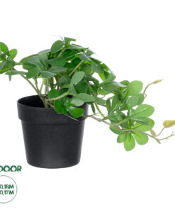 GloboStar® Artificial Garden SCHEFFLERA PLANT 20954 Διακοσμητικό Φυτό Σεφλέρα Φ18 x Υ17cm