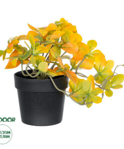GloboStar® Artificial Garden SCHEFFLERA MIX PLANT 20955 Διακοσμητικό Φυτό Σεφλέρα Φ20 x Υ18cm